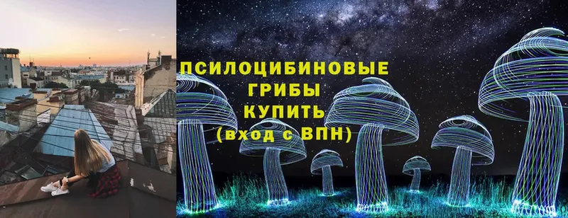 Галлюциногенные грибы Psilocybe  Нижняя Тура 